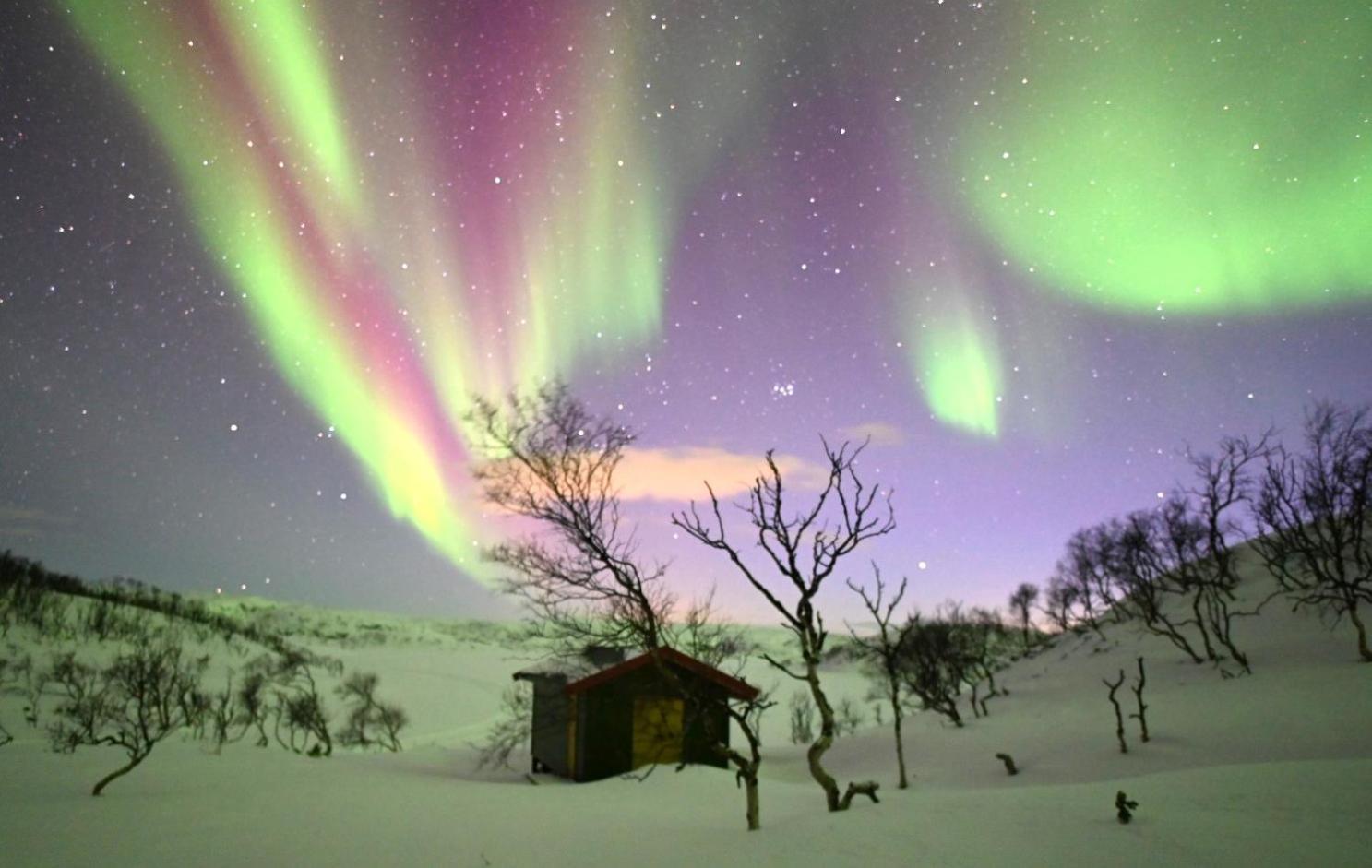 Atte Arstider Lodge Neiden Dış mekan fotoğraf